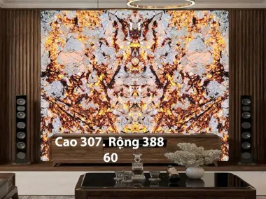 Mẫu 21