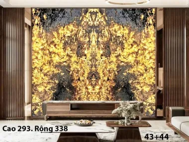 Mẫu 25