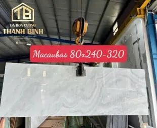 Nhân tạo mẫu 85
