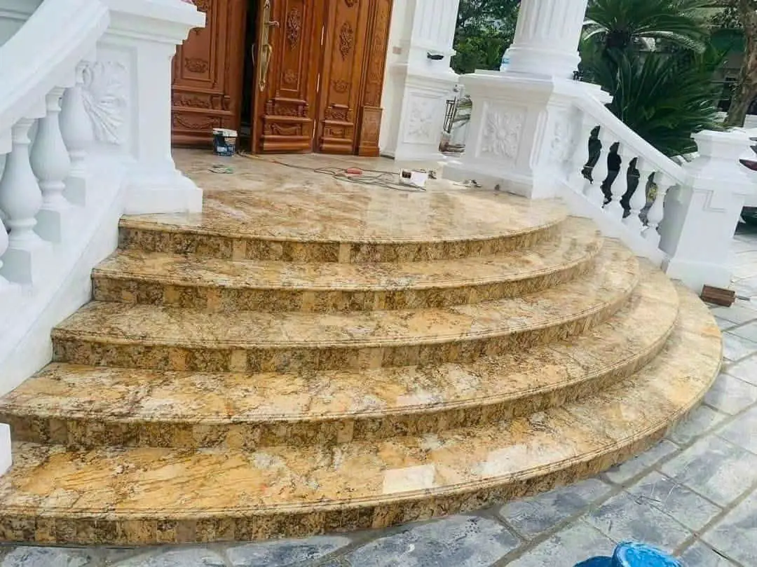 Mẫu 31