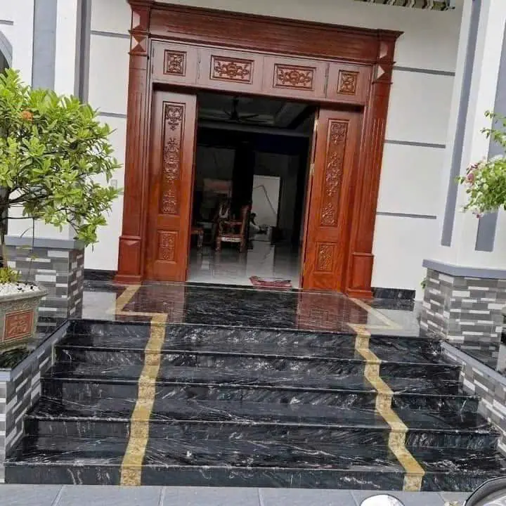 Mẫu 33